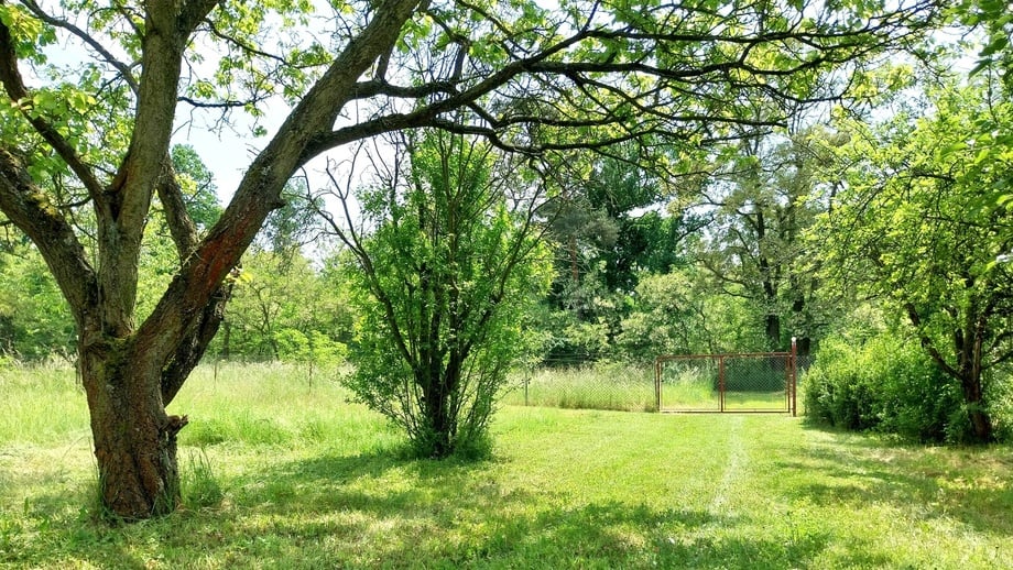 Prodej pozemky - zahrady, 4 523 m² - Dobříň