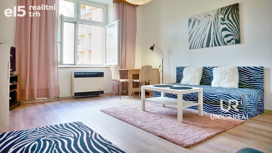 Pronájem bytu 1+1 36 m², Brno - Černovice