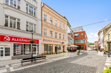 Prodej atypického bytu 180 m², Teplice