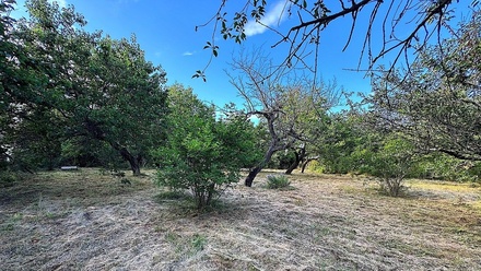 Prodej stavebního pozemku 1 465 m², Znojmo