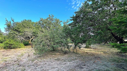 Prodej stavebního pozemku 1 465 m², Znojmo