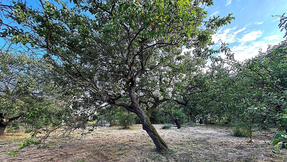 Prodej pozemky pro bydlení, 1 465 m² - Znojmo