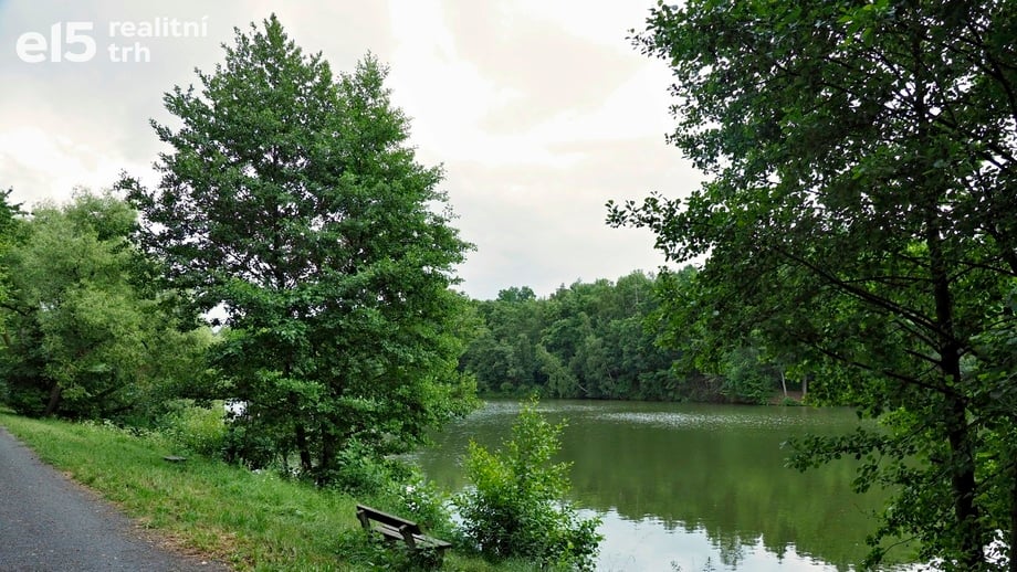 Prodej rybníku 3 199 m², Letovice