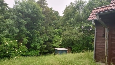 Prodej chaty 36 m², Velké Chvojno