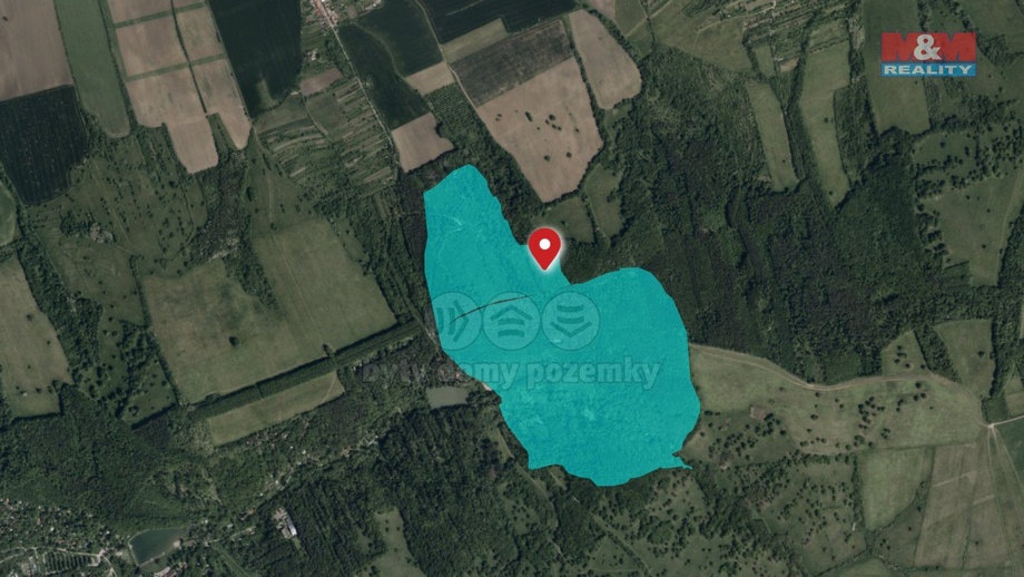 Prodej lesa 845 297 m², Kněždub