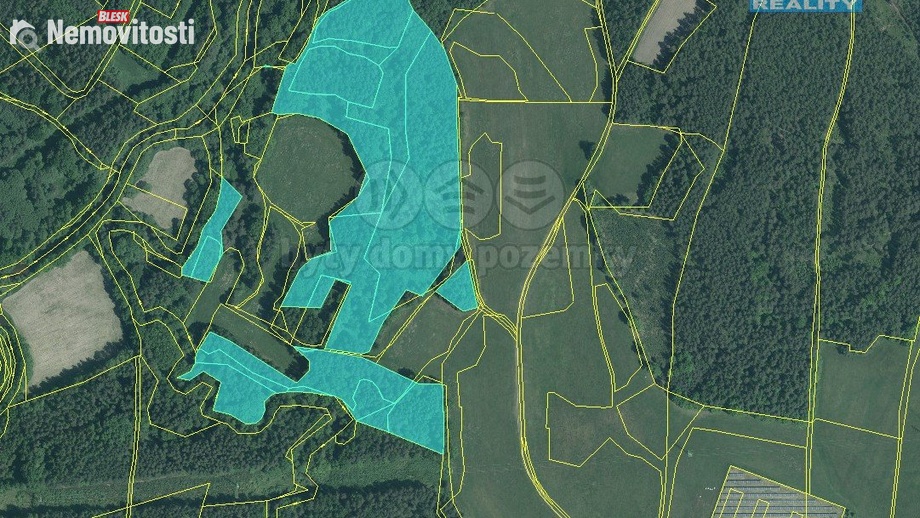 Prodej lesa 20 271 m², Suchdol nad Lužnicí