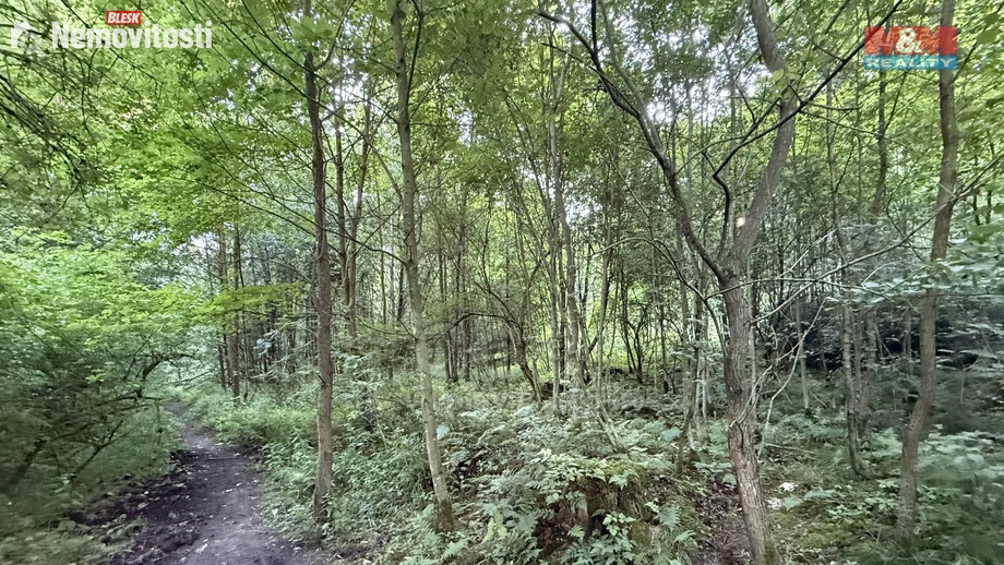 Prodej lesa 5 139 m², Tábor