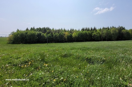 Prodej louky 2 247 m², Moravský Beroun