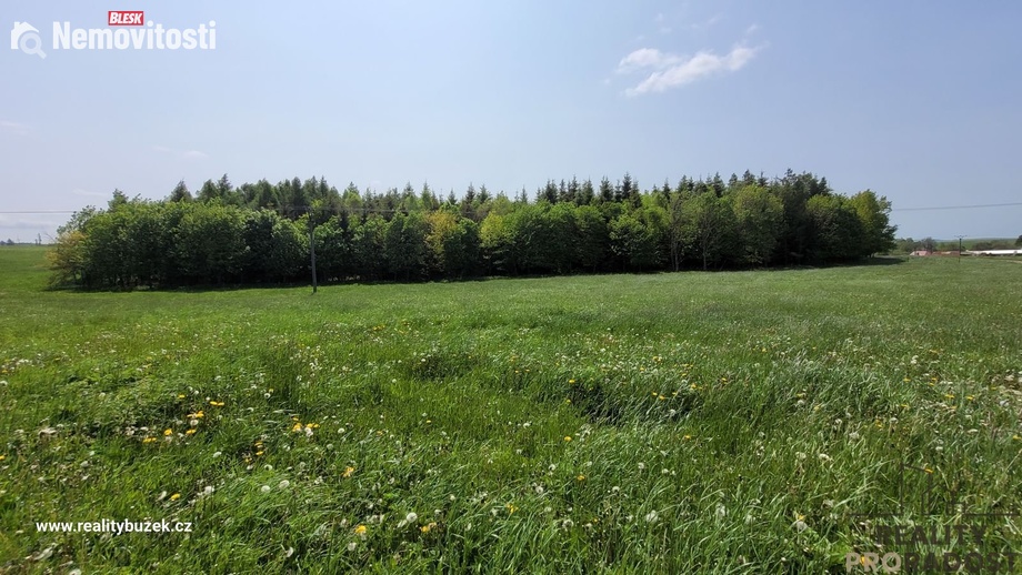 Prodej louky 2 247 m², Moravský Beroun