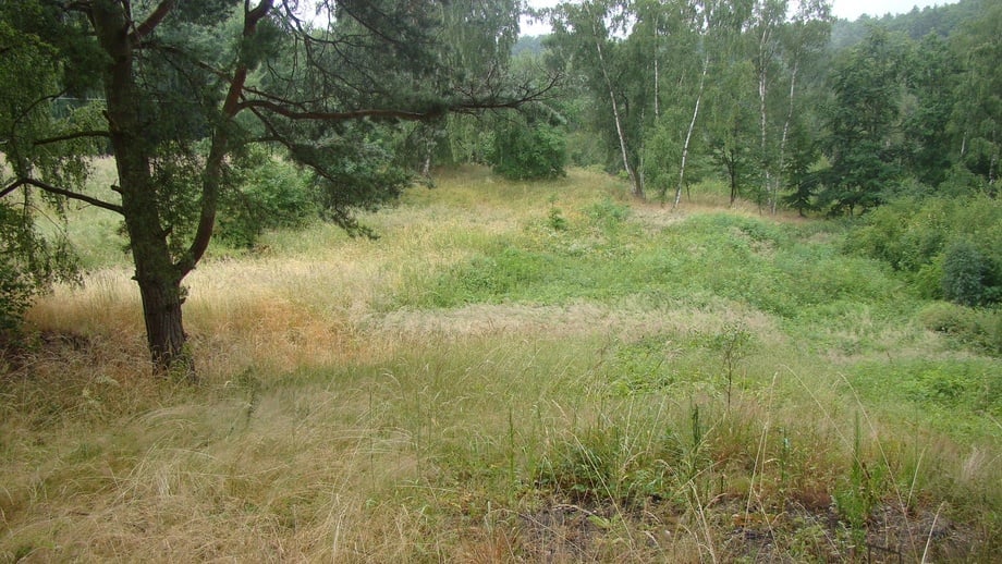 Prodej pozemky - zahrady, 2 000 m² - Krušovice