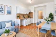Obrázek k položce: Pronájem bytu 1+kk 18 m², Havířov-Město - Havířov - Město