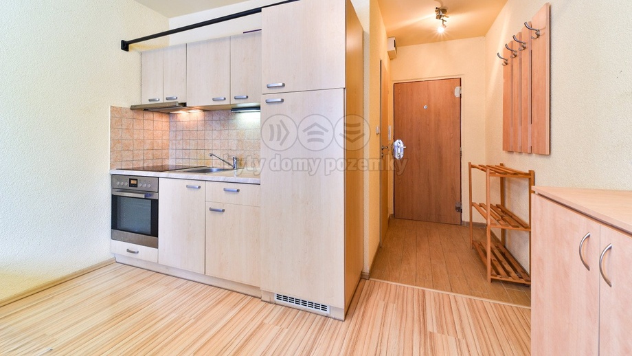 Prodej byty 1+kk, 20 m² - Plzeň - Skvrňany