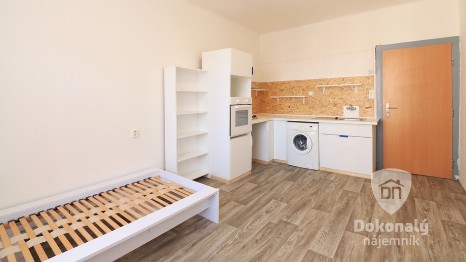 Pronájem bytu 1+kk 25 m², Praha - Žižkov
