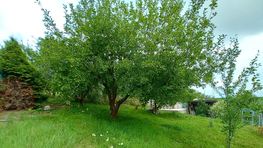Prodej pozemky - zahrady, 15 m² - Moravská Třebová