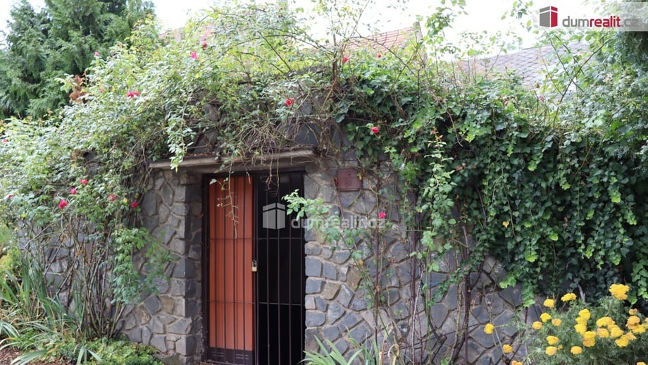 Pronájem vinný sklep, 60 m² - Hovorany