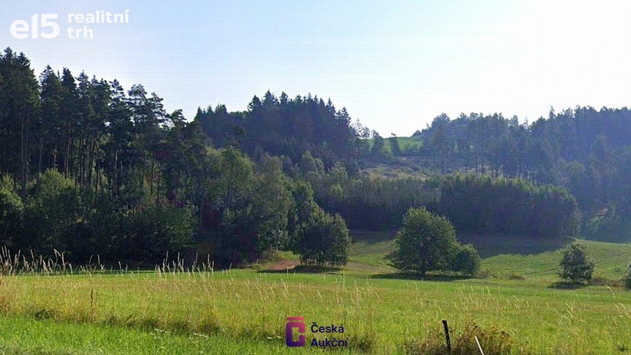 Prodej louky 3 946 m², Levínská Olešnice