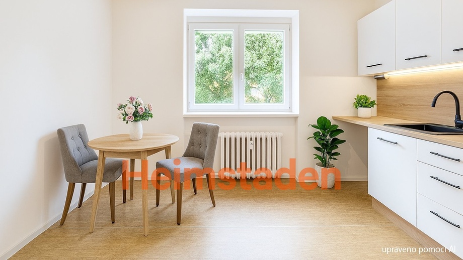 Pronájem bytu 1+1 27 m², Havířov-Šumbark - Havířov - Šumbark