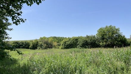 Prodej stavebního pozemku 7 284 m², Diváky