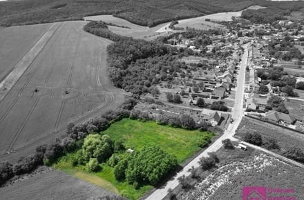 Prodej stavebního pozemku 7 284 m², Diváky