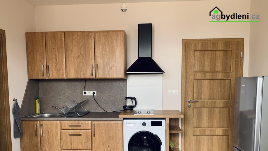 Pronájem bytu 1+kk 20 m², Zbuzany