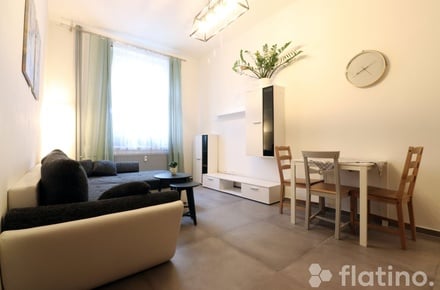 Prodej bytu 2+kk 53 m², Plzeň - Jižní Předměstí