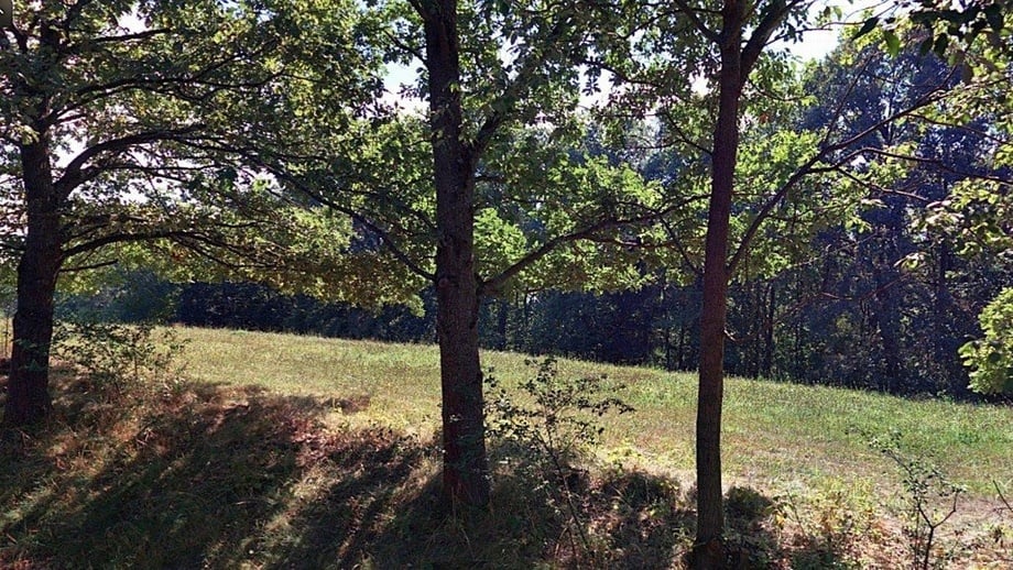Prodej louky 1 058 m², Troskovice