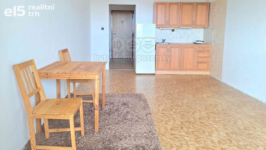 Pronájem bytu 1+kk 28 m², Ostrava - Moravská Ostrava a Přívoz