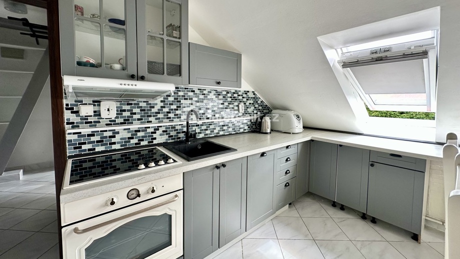 Pronájem bytu 2+1 55 m², Ostrov