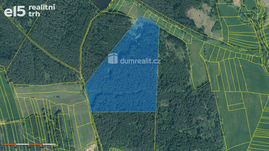 Prodej lesa 63 319 m², Sepekov