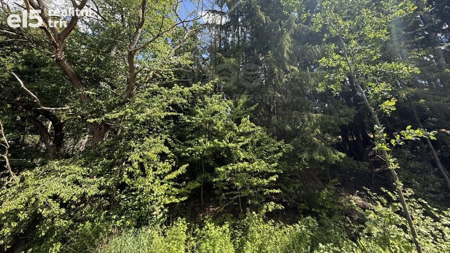 Prodej lesa 5 323 m², Opařany