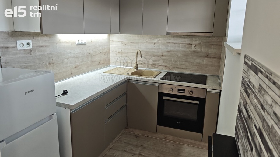 Pronájem bytu 1+1 35 m², Ostrava - Vítkovice