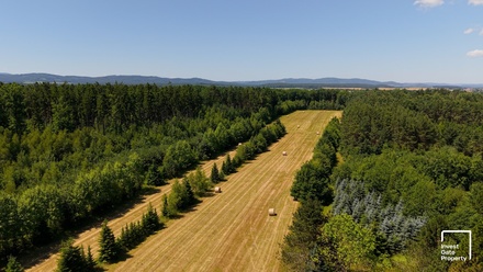 Prodej komerčního pozemku 121 779 m², Čejkovice