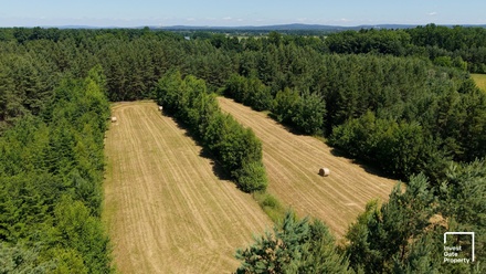 Prodej komerčního pozemku 121 779 m², Čejkovice