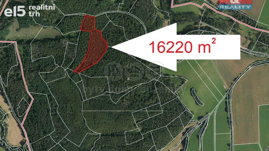 Prodej lesa 16 220 m², Petrovice