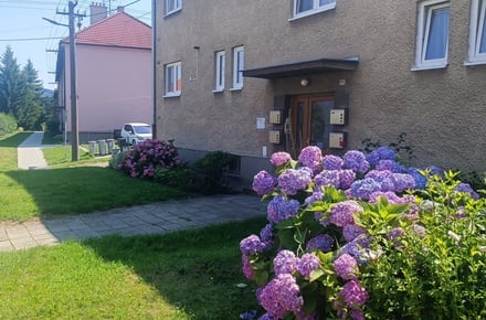 Prodej bytu 2+1 70 m², Koryčany