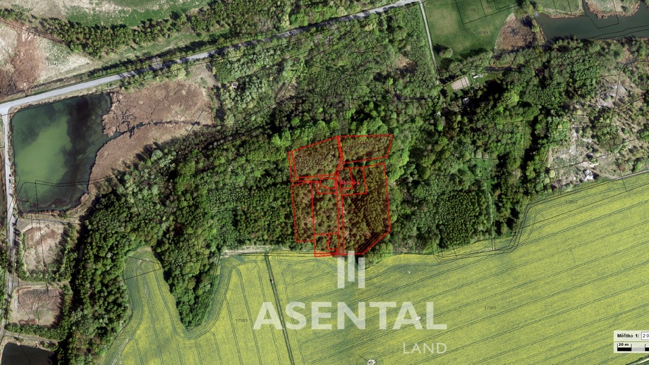 Prodej lesa 21 432 m², Stonava
