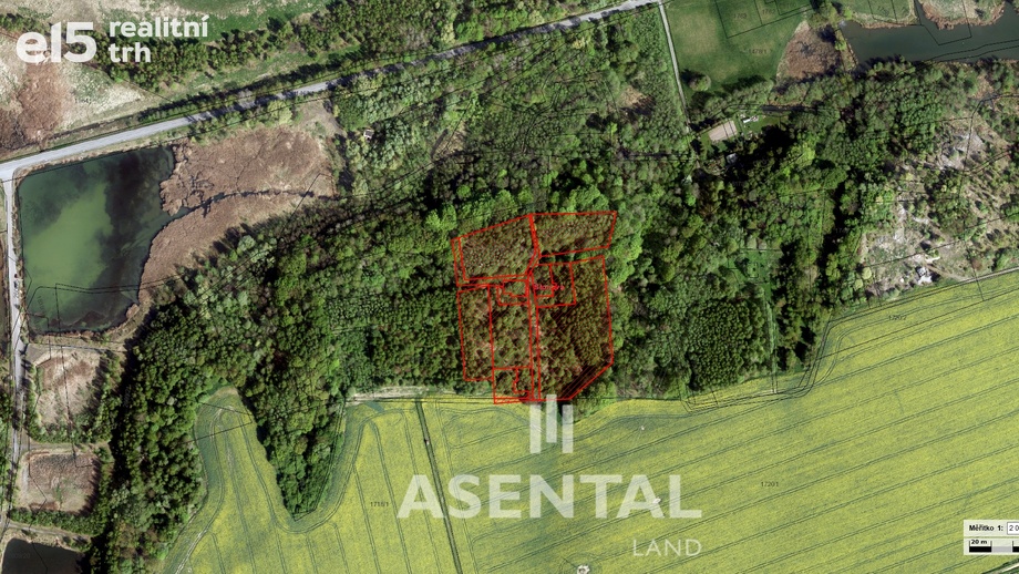 Prodej lesa 21 432 m², Stonava