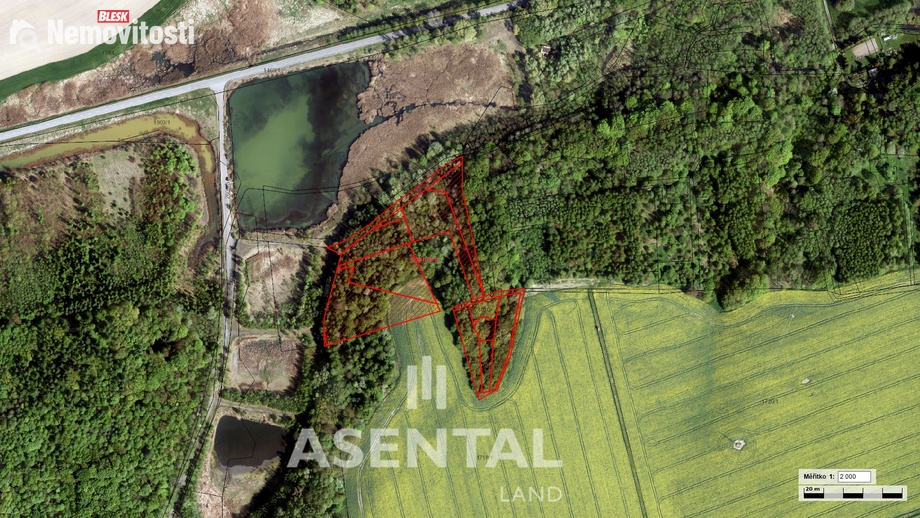 Prodej lesa 20 285 m², Stonava