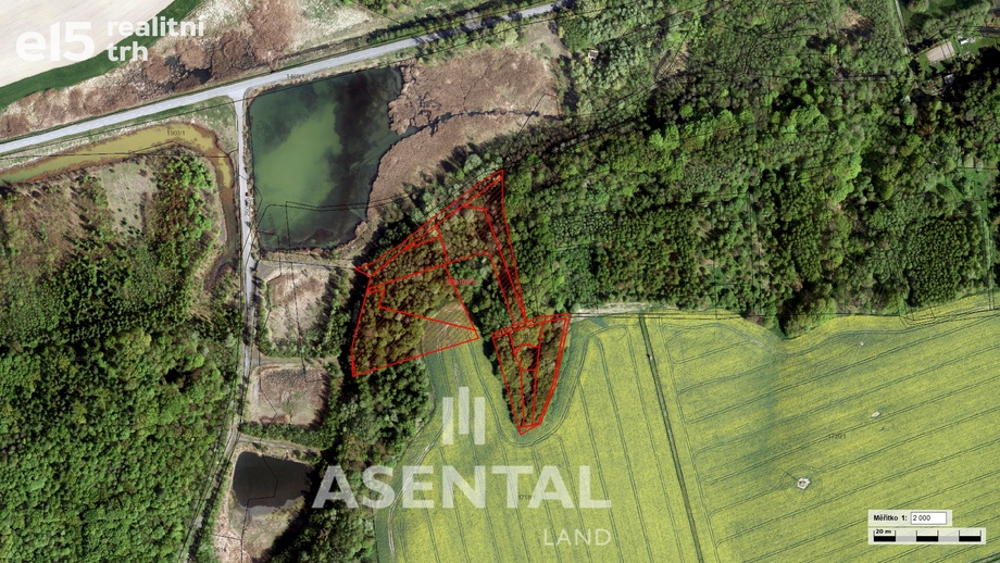 Prodej lesa 20 285 m², Stonava
