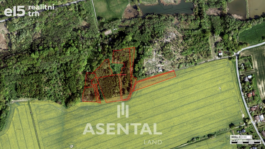 Prodej lesa 26 749 m², Stonava