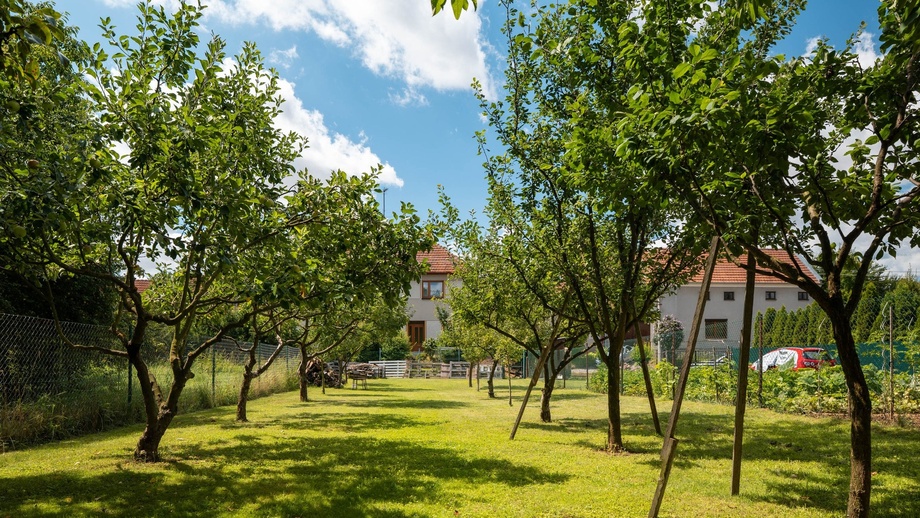 Prodej stavebního pozemku 546 m², Vážany
