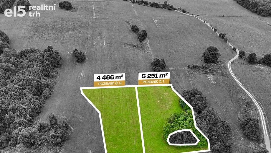 Prodej stavebního pozemku 4 466 m², Pulečný