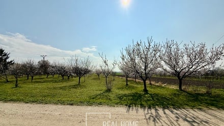 Prodej komerčního pozemku 2 700 m², Perná