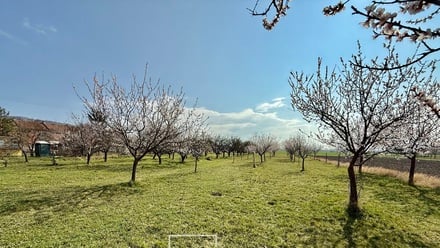 Prodej komerčního pozemku 2 700 m², Perná