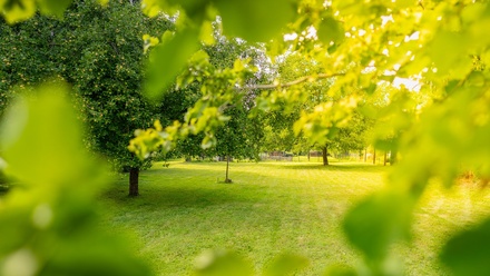 Prodej stavebního pozemku 1 794 m², Úvaly