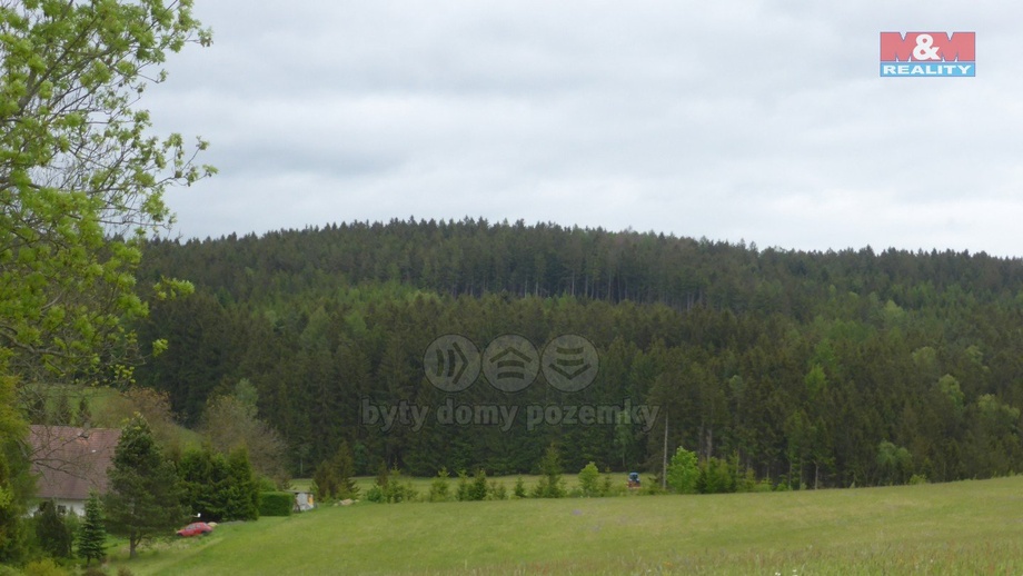 Prodej lesa 26 095 m², Vysoká Srbská