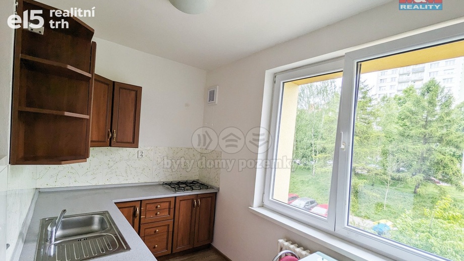 Pronájem bytu 1+1 39 m², Ostrava-Jih