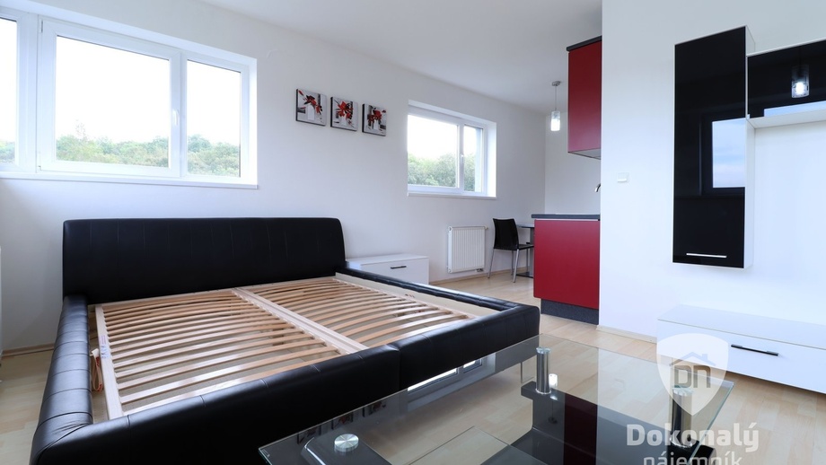 Pronájem bytu 1+kk 39 m², Praha - Hodkovičky