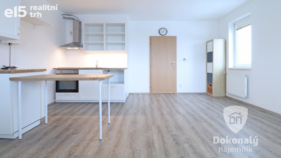 Pronájem bytu 1+kk 34 m², Šestajovice