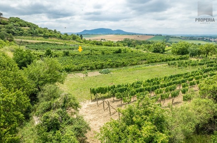 Prodej sadu / vinice 1 120 m², Pouzdřany